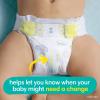 imageDiapers Size 3 168 Count and Baby Wipes  Pampers Swaddlers Disposable Baby Diapers and Water Baby Wipes Sensitive PopTop Packs 336 Count Packaging May VarySize 1  4X