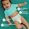imagePampers Diapers  Baby Dry  Size 3 210 Count Absorbent Disposable Infant Diaper Packaging May VaryNewborn