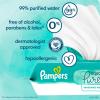 imagePampers Pure Protection Disposable Baby Diapers Size 3 2 Month Supply 2 x 168 Count with Aqua Pure Sensitive Baby Wipes 12X PopTop Packs 672 CountSize 3