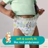 imagePampers Training Pants  Easy Ups Boys ampamp Girls Bluey  Size 3T4T 124 Count Childrens Potty Underwear Packaging May Vary2T3T