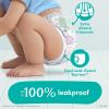 imagePampers Training Pants  Easy Ups Boys ampamp Girls Bluey  Size 3T4T 124 Count Childrens Potty Underwear Packaging May Vary2T3T