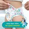 imagePampers Training Pants  Easy Ups Boys ampamp Girls Bluey  Size 3T4T 124 Count Childrens Potty Underwear Packaging May Vary3T4T