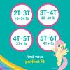 imagePampers Training Pants  Easy Ups Girls ampamp Boys  Size 3T4T 124 Count My Little Pony Potty Underwear Packaging May Vary2T3T