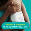 imagePampers Baby Diapers  Swaddlers  Size 7 88 Count Ultra Absorbent Disposable Infant DiaperSize 4