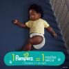 imagePampers Diapers  Baby Dry  Size 3 210 Count Absorbent Disposable Infant Diaper Packaging May VarySize 6