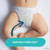 imagePampers Pure Protection Disposable Baby Diapers Size 7 One Month Supply 88 Count with Aqua Pure Baby Wipes 6X PopTop Packs 336 CountSize 7  6X