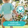 imagePampers Pure Protection Disposable Baby Diapers Size 7 One Month Supply 88 Count with Aqua Pure Baby Wipes 6X PopTop Packs 336 CountSize 7  6X