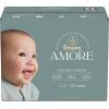 image:imagePampers Amore Size 5 2037 lbs 132 Count Our Best DiaperSize 2