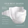 image:imagePampers Amore Size 5 2037 lbs 132 Count Our Best DiaperSize 3