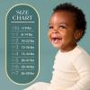 image:imagePampers Amore Size 5 2037 lbs 132 Count Our Best DiaperSize 6